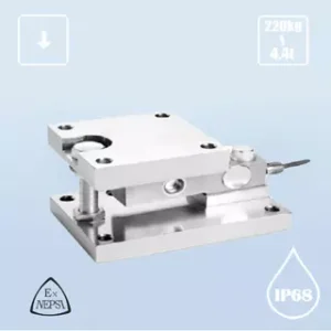 Right / T002 / Weighing Module