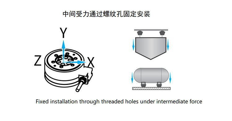 MLC5906W-100 force structure and assembly