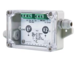 Labirinth / DM Weighing display transmitter