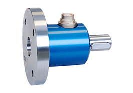 Lorenz / DFW-25 Static Torque Sensor