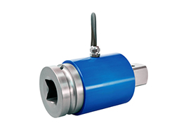 Lorenz / DV-14 Torque Sensor